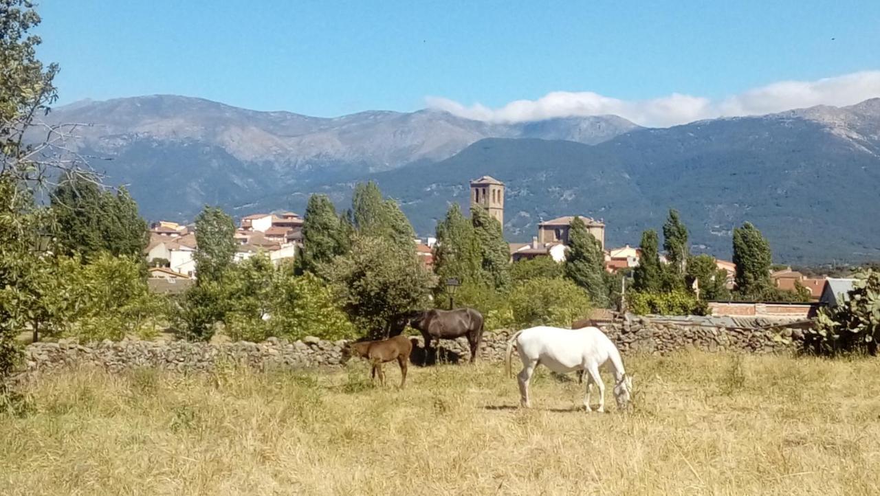Tu Casa De Pueblo Villa La Iglesuela Bagian luar foto