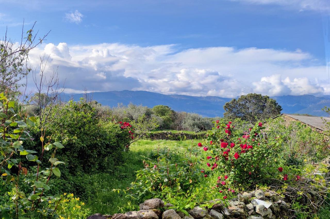 Tu Casa De Pueblo Villa La Iglesuela Bagian luar foto