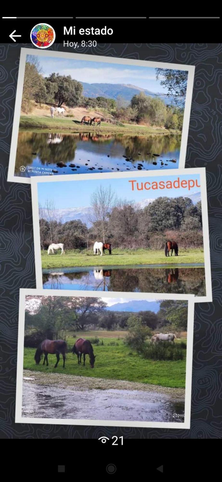 Tu Casa De Pueblo Villa La Iglesuela Bagian luar foto